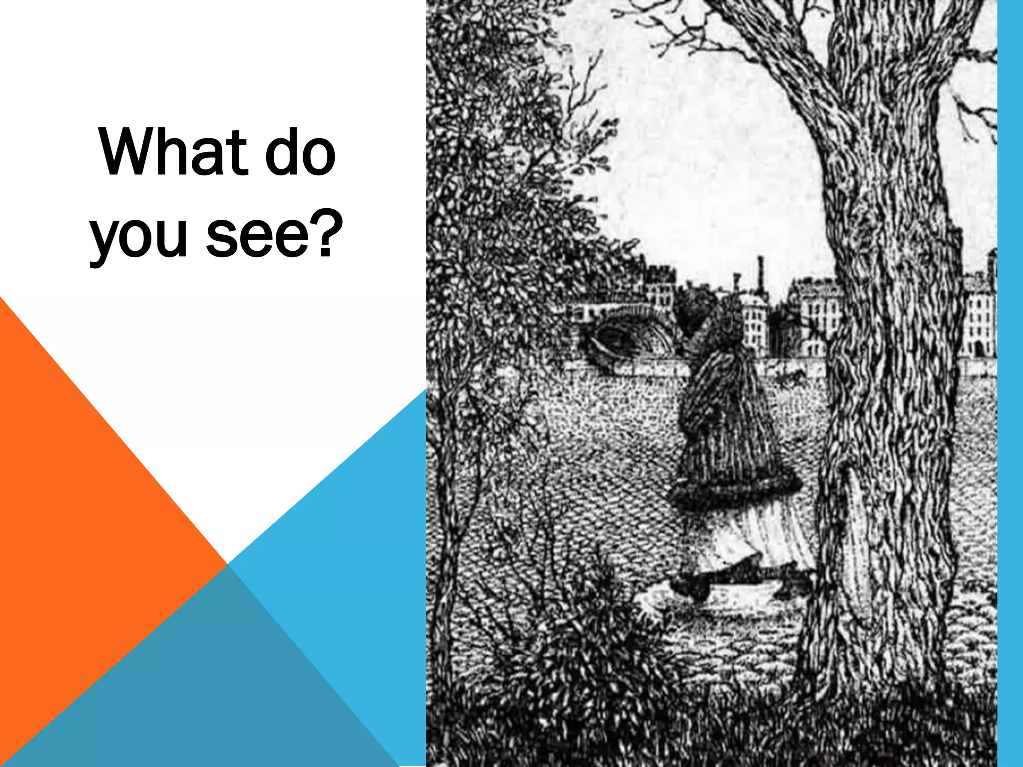 What do
you see?
 