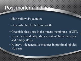 Post mortem findings:
– Skin yellow d/t jaundice
– Greenish blue froth from mouth
– Greenish blue tinge in the mucus membrane of GIT.
– Liver : soft and fatty; shows centri-lobular necrosis
and biliary stasis
– Kidneys : degenerative changes in proximal tubules,
Hb casts
 