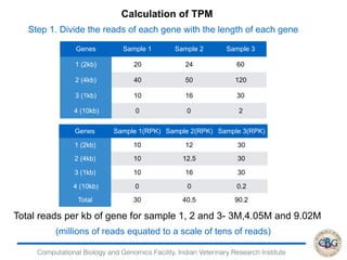 Computational Biology and Genomics Facility, Indian Veterinary Research Institute
Calculation of TPM
Step 1. Divide the reads of each gene with the length of each gene
Genes Sample 1 Sample 2 Sample 3
1 (2kb) 20 24 60
2 (4kb) 40 50 120
3 (1kb) 10 16 30
4 (10kb) 0 0 2
Total reads per kb of gene for sample 1, 2 and 3- 3M,4.05M and 9.02M
Genes Sample 1(RPK) Sample 2(RPK) Sample 3(RPK)
1 (2kb) 10 12 30
2 (4kb) 10 12.5 30
3 (1kb) 10 16 30
4 (10kb) 0 0 0.2
Total 30 40.5 90.2
(millions of reads equated to a scale of tens of reads)
 