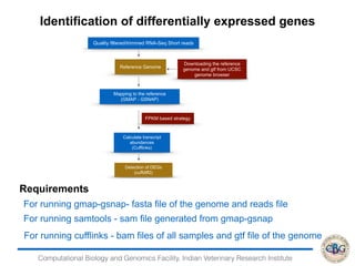 Computational Biology and Genomics Facility, Indian Veterinary Research Institute
Identification of differentially expressed genes
Quality filtered/trimmed RNA-Seq Short reads
FPKM based strategy
Calculate transcript
abundances
(Cufflinks)
Reference Genome
Mapping to the reference
(GMAP - GSNAP)
Detection of DEGs
(cuffdiff2)
Downloading the reference
genome and gtf from UCSC
genome browser
Requirements
For running gmap-gsnap- fasta file of the genome and reads file
For running cufflinks - bam files of all samples and gtf file of the genome
For running samtools - sam file generated from gmap-gsnap
 