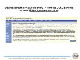 Computational Biology and Genomics Facility, Indian Veterinary Research Institute
Downloading the FASTA file and GTF from the UCSC genome
browser (https://genome.ucsc.edu)
 