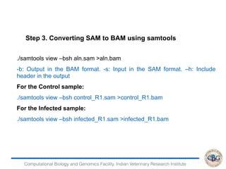 Computational Biology and Genomics Facility, Indian Veterinary Research Institute
./samtools view –bsh aln.sam >aln.bam
-b: Output in the BAM format. -s: Input in the SAM format. –h: Include
header in the output
For the Control sample:
./samtools view –bsh control_R1.sam >control_R1.bam
For the Infected sample:
./samtools view –bsh infected_R1.sam >infected_R1.bam
Step 3. Converting SAM to BAM using samtools
 