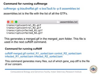 Computational Biology and Genomics Facility, Indian Veterinary Research Institute
Command for running cuffmerge
cuffmerge -g btau8refflat.gtf -s bosTau8.fa -p 8 assemblies.txt
assemblies.txt is the file with the list of all the GTFs.
This generates a merged.gtf in the merged_asm folder. This file is
used in the next cuffdiff command.
Command for running cuffdiff
cuffdiff merged.gtf control_R1_sorted.bam control_R2_sorted.bam
infected_R1_sorted.bam infected_R2_sorted.bam
This command generates many files, out of which gene_exp.diff is the file
of our concern.
 