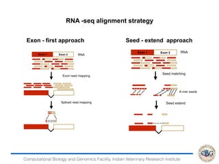 Computational Biology and Genomics Facility, Indian Veterinary Research Institute
RNA
Exon 1 Exon 2
Exon read mapping
Spliced read mapping
Exon 1 Exon 2
RNA
Seed matching
K-mer seeds
Seed extend
RNA
Exon 1 Exon 2
Exon read mapping
Spliced read mapping
Exon 1 Exon 2
RNA
Seed matching
K-mer seeds
Seed extend
RNA -seq alignment strategy
Exon - first approach Seed - extend approach
 