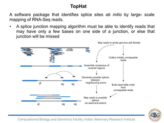 Computational Biology and Genomics Facility, Indian Veterinary Research Institute
A software package that identifies splice sites ab initio by large- scale
mapping of RNA-Seq reads.
• A splice junction mapping algorithm must be able to identify reads that
may have only a few bases on one side of a junction, or else that
junction will be missed
TopHat
Map reads to whole genome with Bowtie
Collect initially unmappable
reads
Build seed table index
from
unmappable reads
Generate possible splices
between
neighbouring exons
Map reads to possible
splices
via seed-and-extend
Assemble consensus of
covered regions
gt ag ag
gt ag ag
 