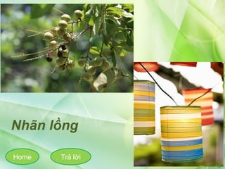 Trả lời
Nhãn lồng
Home
 