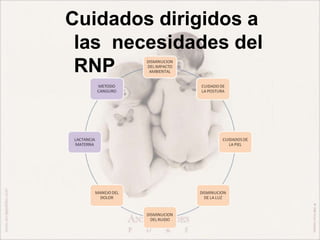 Cuidados dirigidos a
las necesidades del
RNP
 