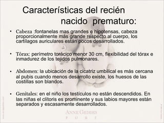 Características del recién
nacido prematuro:
• Cabeza :fontanelas mas grandes e hipotensas, cabeza
proporcionalmente más grande respecto al cuerpo, los
cartílagos auriculares están pocos desarrollados.
• Tórax: perímetro torácico menor 30 cm, flexibilidad del tórax e
inmadurez de los tejidos pulmonares.
• Abdomen: la ubicación de la cicatriz umbilical es más cercana
al pubis cuando menos desarrollo existe, los huesos de las
costillas son blandos.
• Genitales: en el niño los testículos no están descendidos. En
las niñas el clítoris es prominente y sus labios mayores están
separados y escasamente desarrollados.
 