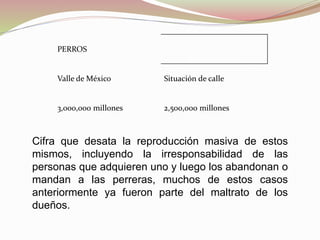 PERROS
Valle de México Situación de calle
3,000,000 millones 2,500,000 millones
Cifra que desata la reproducción masiva de estos
mismos, incluyendo la irresponsabilidad de las
personas que adquieren uno y luego los abandonan o
mandan a las perreras, muchos de estos casos
anteriormente ya fueron parte del maltrato de los
dueños.
 