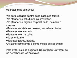 Maltratos mas comunes:
•No darle espacio dentro de la casa o la familia.
•No atender su salud medica preventiva.
•No atender su higiene corporal baño, peinado o
estético.
•Mantenerlos aislados: azotea, encadenamiento.
•Mantenerlo encerrado.
•Mantenerlo en la calle.
•No esterilizarlo.
•Maltrato: golpes, peleas.
•Utilizarlo como arma o como medio de seguridad.
Para evitar esto se originó la Declaración Universal de
los derechos de los animales.
 