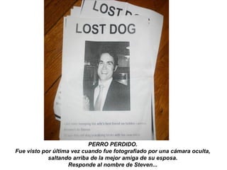 PERRO PERDIDO.  Fue visto por última vez cuando fue fotografiado por una cámara oculta,  saltando arriba de la mejor amiga de su esposa.  Responde al nombre de Steven...  