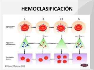 HEMOCLASIFICACIÓN
 