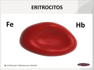 ERITROCITOS
Fe Hb
 