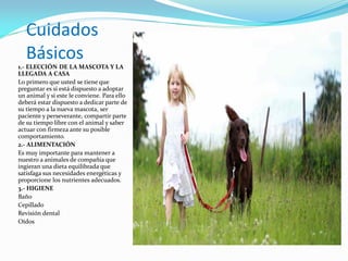 Cuidados
Básicos
1.- ELECCIÓN DE LA MASCOTA Y LA
LLEGADA A CASA
Lo primero que usted se tiene que
preguntar es si está dispuesto a adoptar
un animal y si este le conviene. Para ello
deberá estar dispuesto a dedicar parte de
su tiempo a la nueva mascota, ser
paciente y perseverante, compartir parte
de su tiempo libre con el animal y saber
actuar con firmeza ante su posible
comportamiento.
2.- ALIMENTACIÓN
Es muy importante para mantener a
nuestro a animales de compañía que
ingieran una dieta equilibrada que
satisfaga sus necesidades energéticas y
proporcione los nutrientes adecuados.
3.- HIGIENE
Baño
Cepillado
Revisión dental
Oídos
 