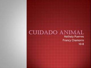 Nathaly Puerres
Francy Chamorro
10-8
 