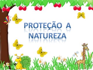 Proteção  a Natureza