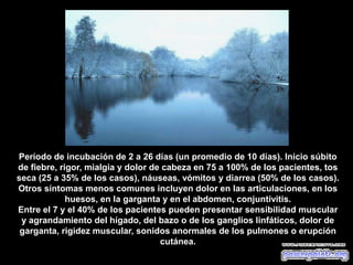 Período de incubación de 2 a 26 días (un promedio de 10 días). Inicio súbito
de fiebre, rigor, mialgia y dolor de cabeza en 75 a 100% de los pacientes, tos
seca (25 a 35% de los casos), náuseas, vómitos y diarrea (50% de los casos).
Otros síntomas menos comunes incluyen dolor en las articulaciones, en los
huesos, en la garganta y en el abdomen, conjuntivitis.
Entre el 7 y el 40% de los pacientes pueden presentar sensibilidad muscular
y agrandamiento del hígado, del bazo o de los ganglios linfáticos, dolor de
garganta, rigidez muscular, sonidos anormales de los pulmones o erupción
cutánea.
 