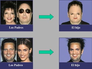 Los Padres Los Padres El hijo El hijo 