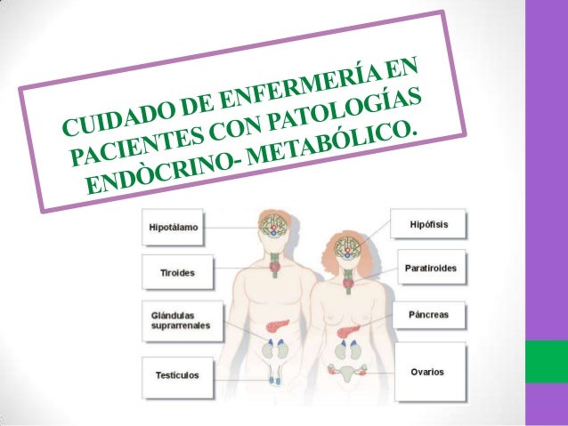 Cuidados De Enfermeria En Pacientes Con Problemas Endocrinos Pdf