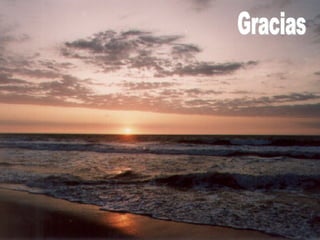 Gracias 