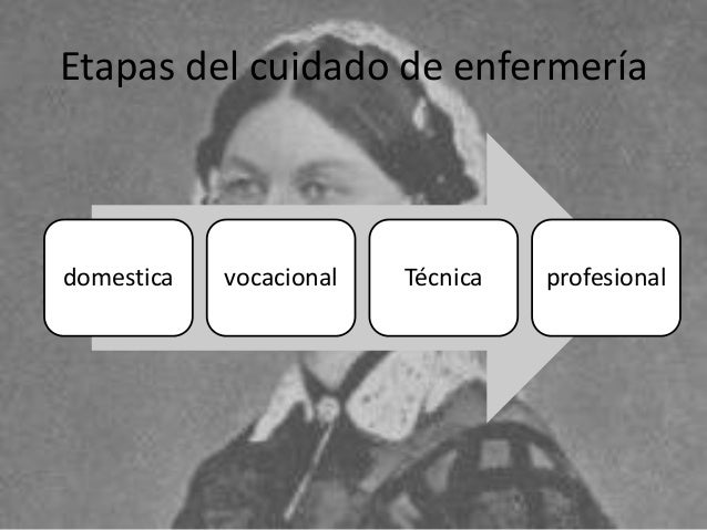 Etapas