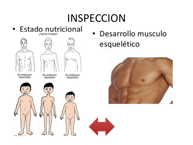 Duele los riñones el refuerzo por sus ejercicios