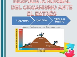 1) Identificar el problema:
 Causa de lo que esté afectando negativamente y
generando estrés, para buscar soluciones
2) M...