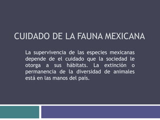 CUIDADO DE LA FAUNA MEXICANA
  La supervivencia de las especies mexicanas
  depende de el cuidado que la sociedad le
  otorga a sus hábitats. La extinción o
  permanencia de la diversidad de animales
  está en las manos del país.
 