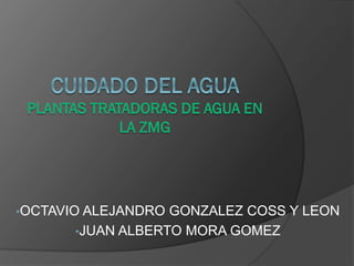 •OCTAVIO ALEJANDRO

GONZALEZ COSS Y LEON
•JUAN ALBERTO MORA GOMEZ

 