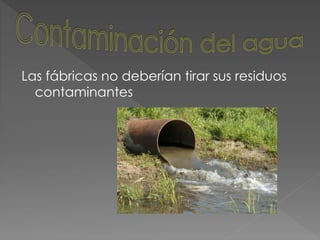 Las fábricas no deberían tirar sus residuos
contaminantes
 