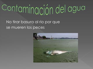 No tirar basura al rio por que
se mueren los peces
 