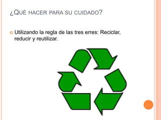 ¿QUÉ HACER PARA SU CUIDADO?
 Utilizando la regla de las tres erres: Reciclar,
reducir y reutilizar.
 