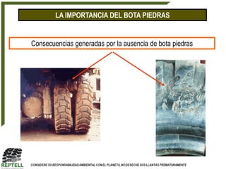 LA IMPORTANCIA DEL BOTA PIEDRAS


Consecuencias generadas por la ausencia de bota piedras
 