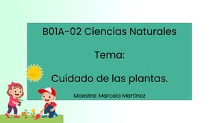 B01A-02 Ciencias Naturales
Tema:
Cuidado de las plantas.
Maestra: Marcela Martínez
 
