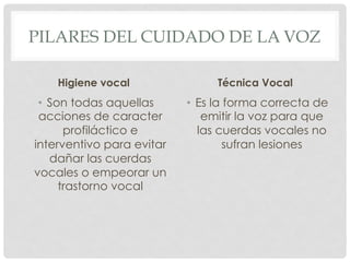 Cuidado de la voz | PDF