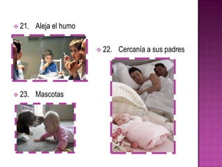  21. Aleja el humo
 22. Cercanía a sus padres
 23. Mascotas
 