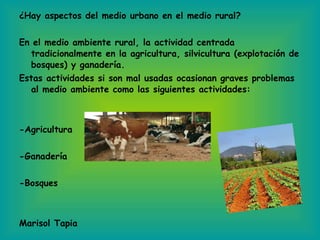 ¿Hay aspectos del medio urbano en el medio rural? En el medio ambiente rural, la actividad centrada tradicionalmente en la agricultura, silvicultura (explotación de bosques) y ganadería. Estas actividades si son mal usadas ocasionan graves problemas al medio ambiente como las siguientes actividades: -Agricultura -Ganadería -Bosques Marisol Tapia 