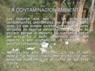 Cuidado del medio ambiente