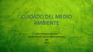 CUIDADO DEL MEDIO
AMBIENTE
Juliana Rodríguez Montero
Escuela Normal Superior María Auxiliadora
10B
2019
 