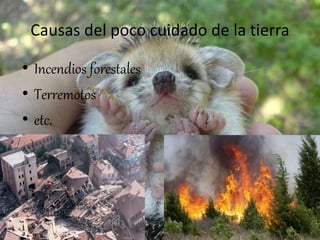 Causas del poco cuidado de la tierra
• Incendios forestales
• Terremotos
• etc.
 