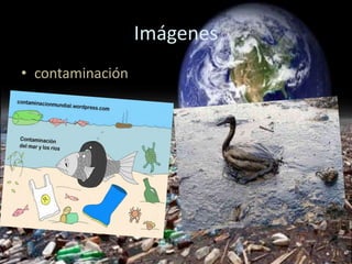 Imágenes
• contaminación
 