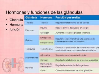 Hormonas y funciones de las glándulas
• Glándula
• Hormona
• función
 
