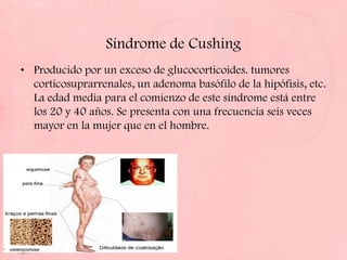 Síndrome de Cushing
• Producido por un exceso de glucocorticoides. tumores
  corticosuprarrenales, un adenoma basófilo de la hipófisis, etc.
  La edad media para el comienzo de este síndrome está entre
  los 20 y 40 años. Se presenta con una frecuencia seis veces
  mayor en la mujer que en el hombre.
 