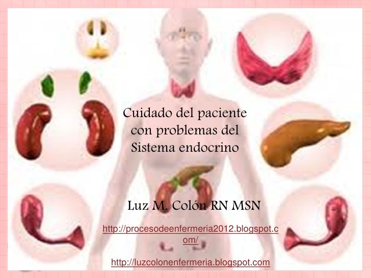 la diabetes insípida es causada por un problema endocrino