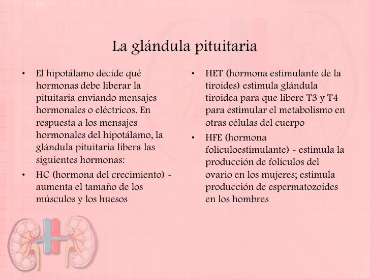 La cultura física a la inestabilidad sheynogo del departamento de la columna vertebral