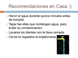 Recomendaciones en Casa :)
 Hervir el agua durante quince minutos antes
de tomarla.
 Tapar las ollas que contengan agua, para
evitar su contaminación.
 Lavarse los dientes con la llave cerrada.
 Cerrar la regadera al enjabonarse
 
