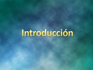 Cuidado humano de enfermeria