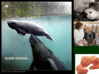 QUEM ENSINA... QUEM APRENDE... 