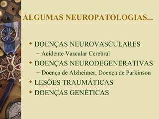 ALGUMAS NEUROPATOLOGIAS... DOENÇAS NEUROVASCULARES Acidente Vascular Cerebral DOENÇAS NEURODEGENERATIVAS Doença de Alzheimer, Doença de Parkinson LESÕES TRAUMÁTICAS DOENÇAS GENÉTICAS 