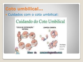 Coto umbilical...
 Cuidados com o coto umbilical:
 